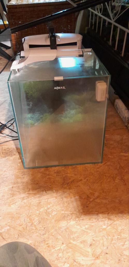 Aquarium + toebehoren, Dieren en Toebehoren, Vissen | Aquaria en Toebehoren, Ophalen, Leeg aquarium