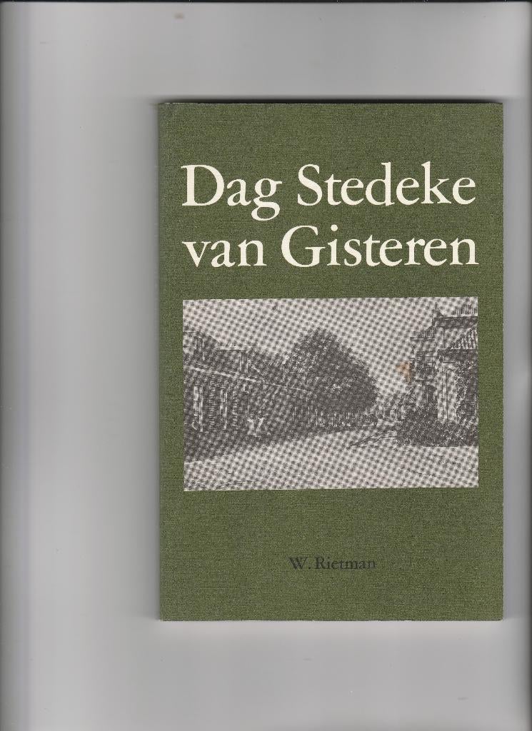 diepenheim- dag stedeke van gisteren, Boeken, Ophalen of Verzenden