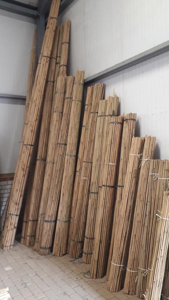 Nieuwe bonenstaken ,tonkinstokken, bamboestokken, Ophalen, Nieuw, Palen