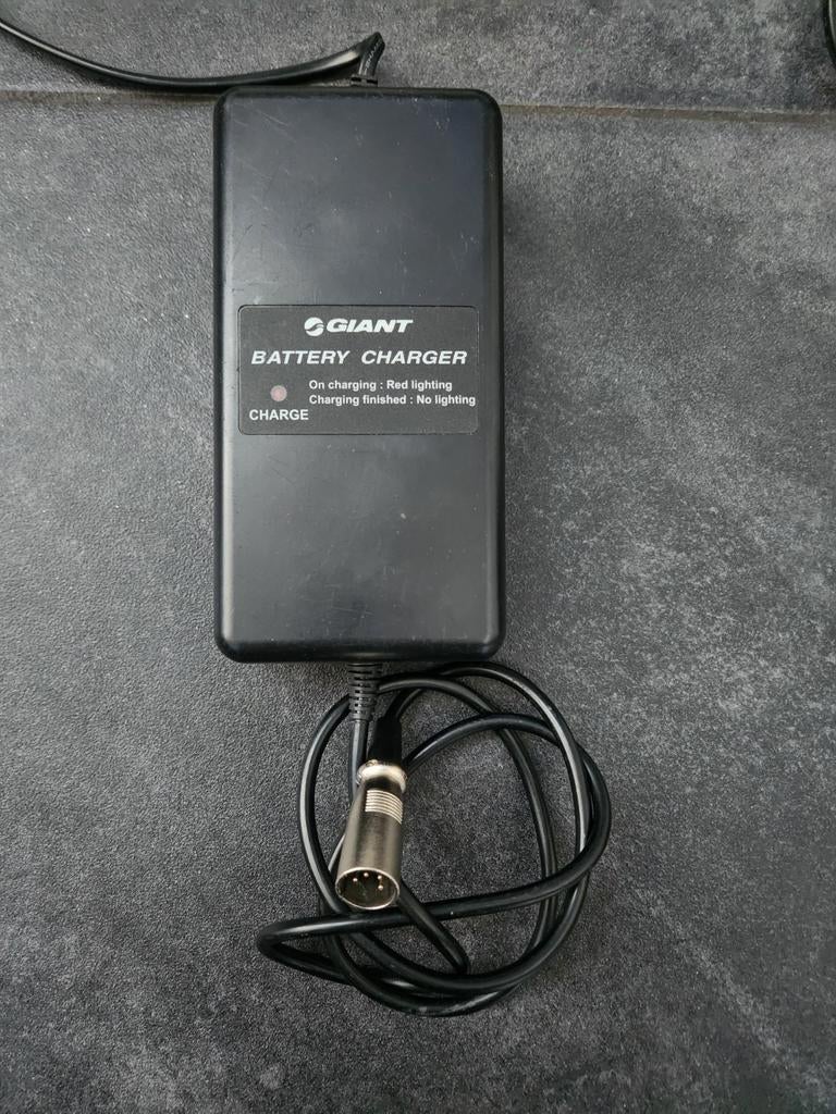 Giant Twist | Originele lader | 4 pins, Ophalen of Verzenden, Gebruikt