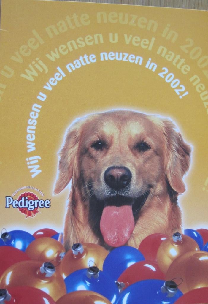 Golden retriever op ansichtkaart van pedigree - 2002 - nieuw, Verzenden, 1980 tot heden, Ongelopen, Hond of Kat