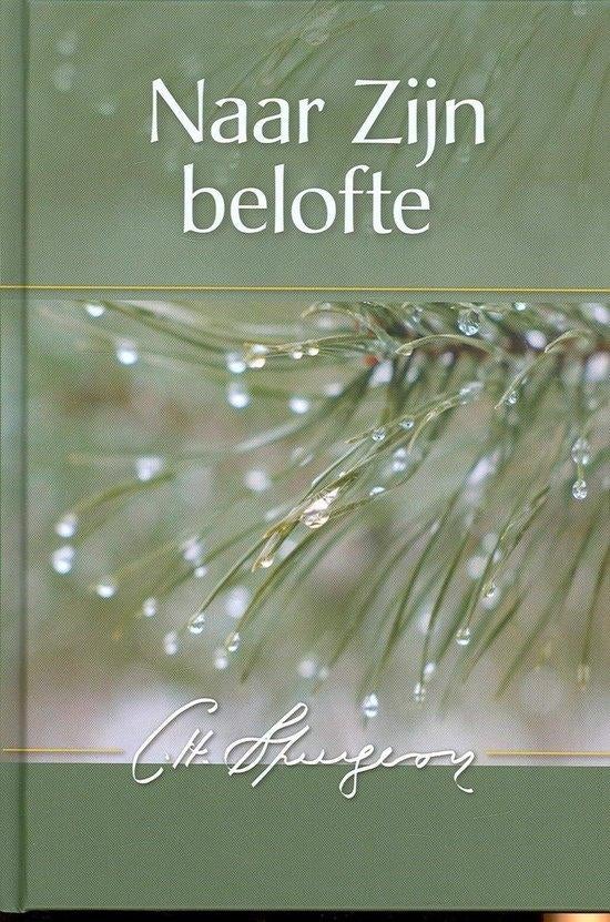 Naar Zijn belofte Charles Haddon Spurgeon 9789033607547, Boeken, Ophalen of Verzenden, Zo goed als nieuw, Charles Haddon Spurgeon