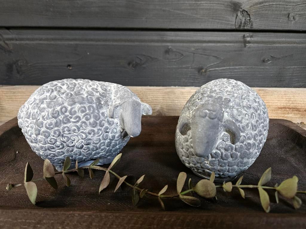 Schaapjes, Ophalen of Verzenden