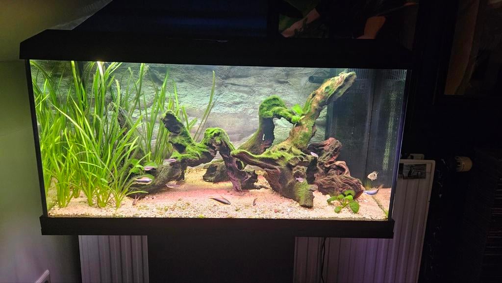 Juwel primo 110 liter aquarium., Ophalen, Zo goed als nieuw, Gevuld zoetwateraquarium