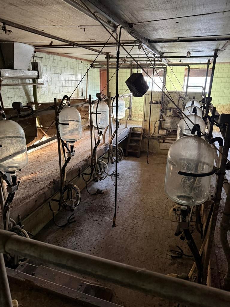 Westfalia separator (glas), Dieren en Toebehoren, Ophalen, Zo goed als nieuw