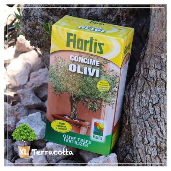 Voeding voor Palm en Olijfbomen, Tuin en Terras, Plantenvoeding, Ophalen of Verzenden, Nieuw