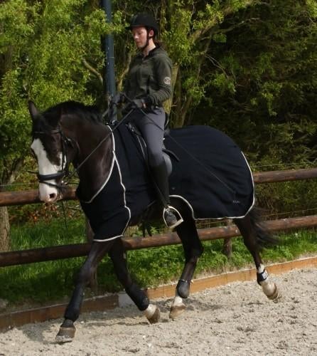Fleece uitrijdeken, los borststuk, maten 175 t/m 195, NIEUW, Ophalen of Verzenden, Nieuw, Deken