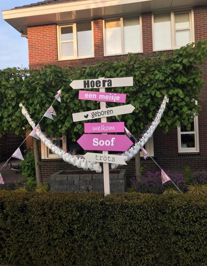 Te huur geboortebord meisje, Ophalen, Zo goed als nieuw