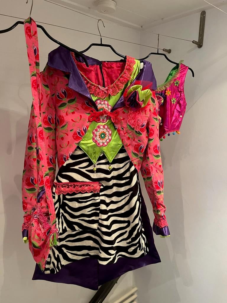 Zebrajurkje, giletjes en overjas carnaval, Ophalen of Verzenden, Zo goed als nieuw, Maat 36 (S)