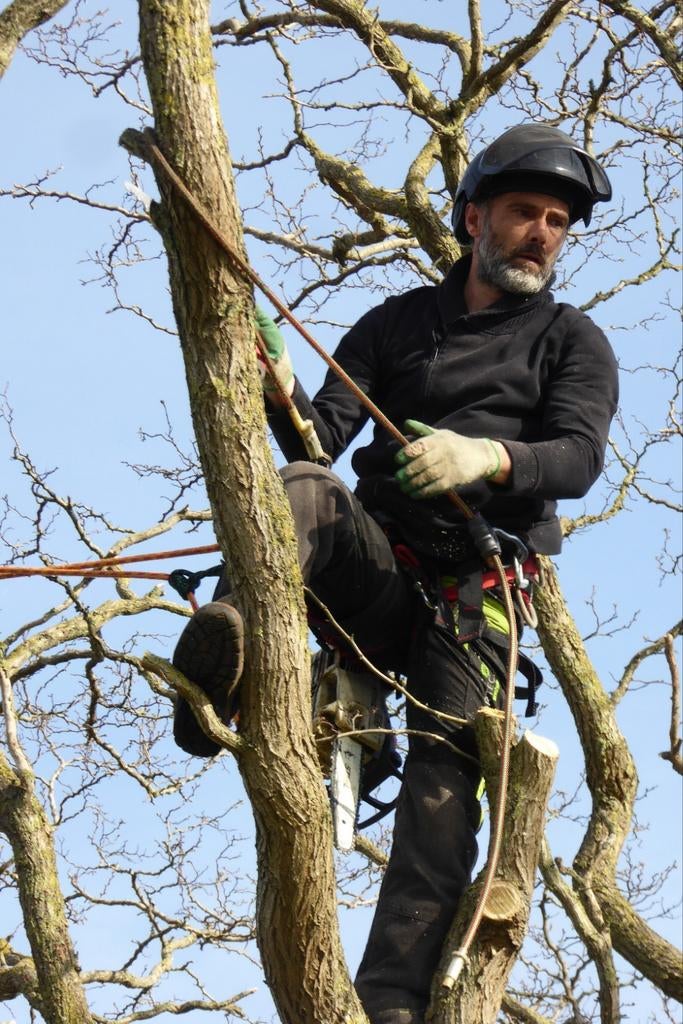 ✅️Boomverzorger.