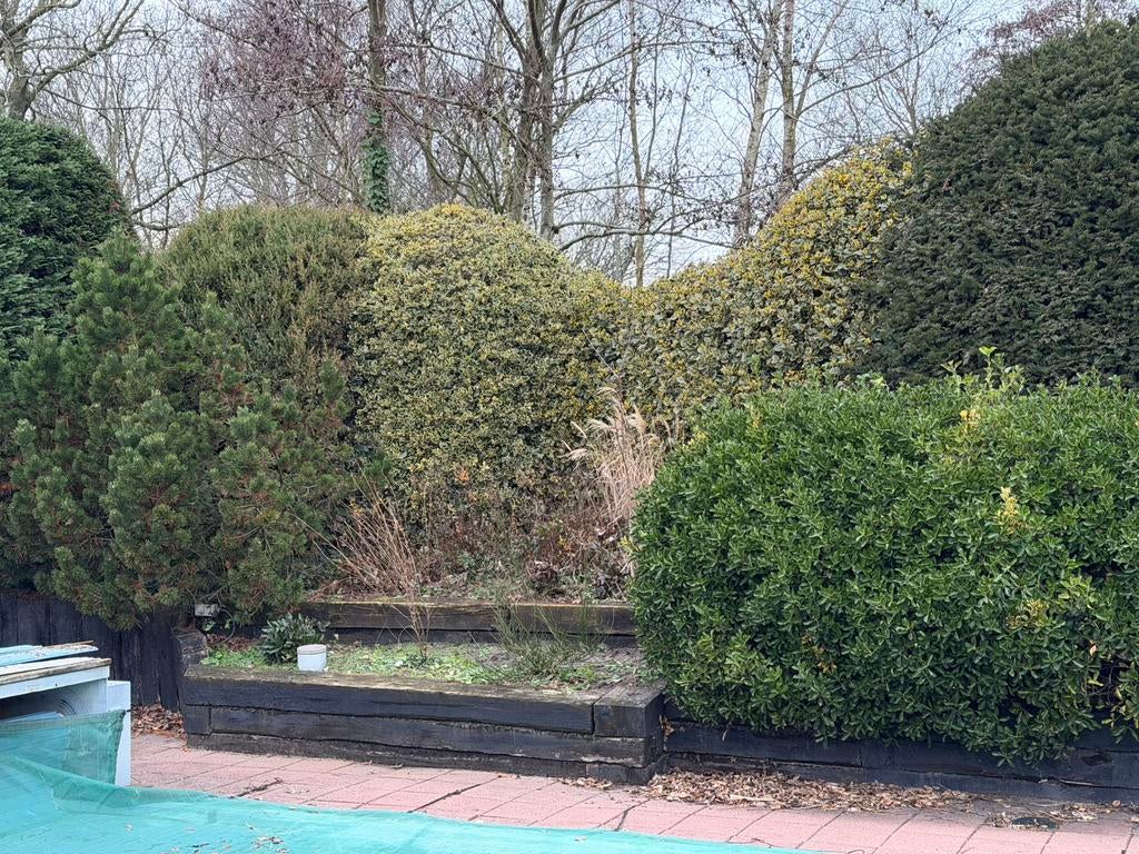 Spoorbielzen, eikenbalken, balken, keerwand, Tuin en Terras, Ophalen, Gebruikt, Hardhout, 180 tot 250 cm