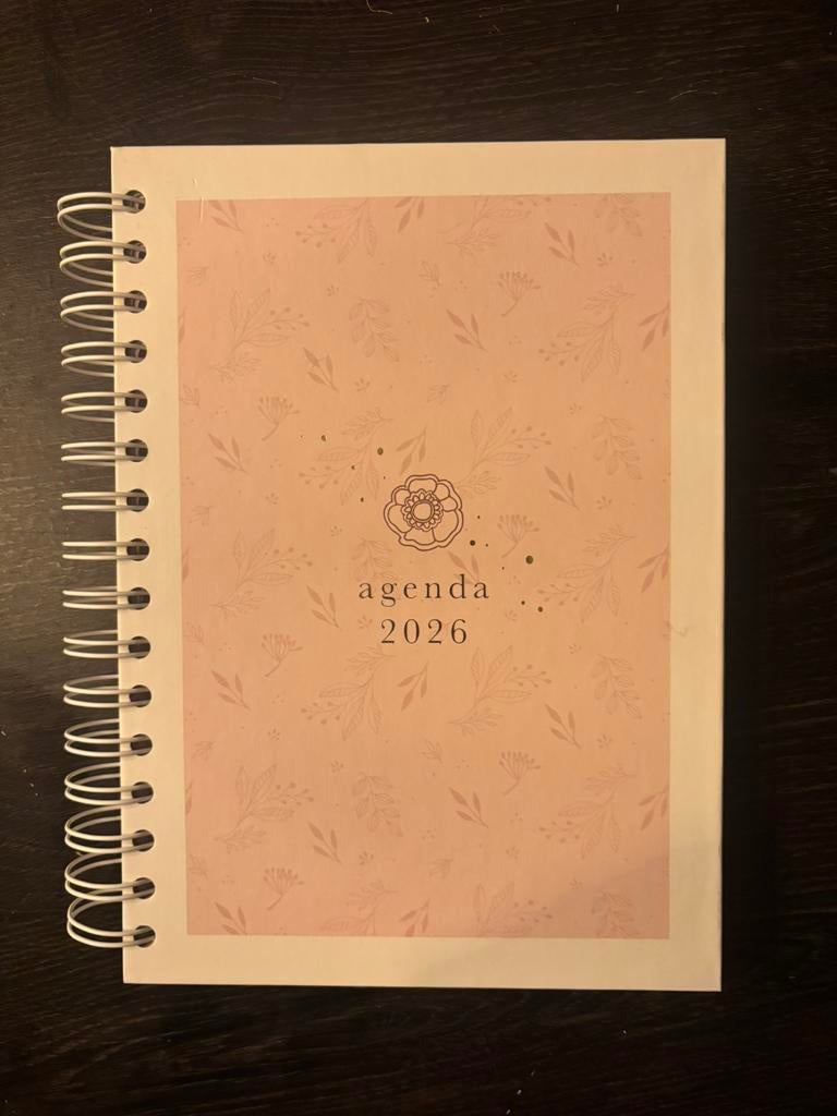 Mooie nieuwe agenda (groot), Diversen, Agenda's, Ophalen of Verzenden, Zo goed als nieuw
