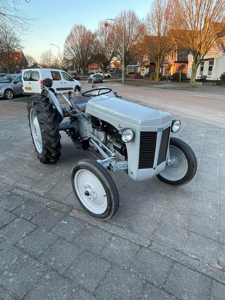 Ferguson TED-20 Oldtimer Tractor, 33 - 40 uur, Overige niveaus, Starter, Overige vormen
