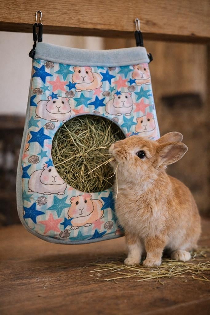 * Hooizakje voor cavia's of konijnen NIEUW HANDGEMAAKT, Dieren en Toebehoren, Www.Karinasdierenwebshop.nl, Www.Karinasdierenwebshop.nl