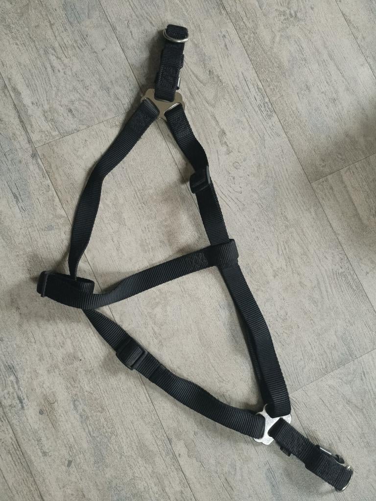 Borstriem,maat labrador, Ophalen of Verzenden, Zo goed als nieuw