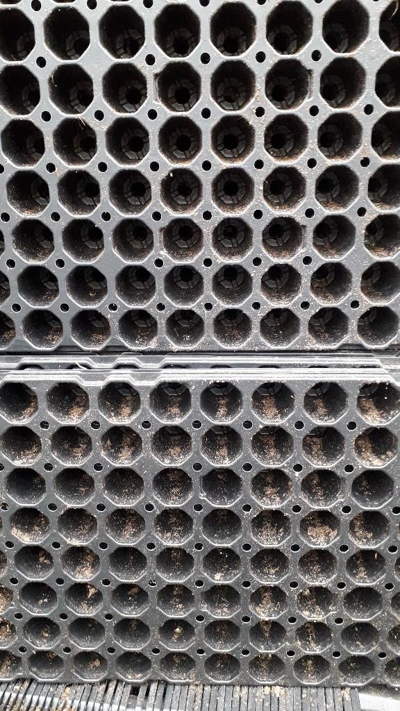 Professionele 104-gaats Stek- & Zaaitrays  Extra Voordelig, Tuin en Terras, De Triemen 5A 9296 MB de Triemen, Kunststof, Rond