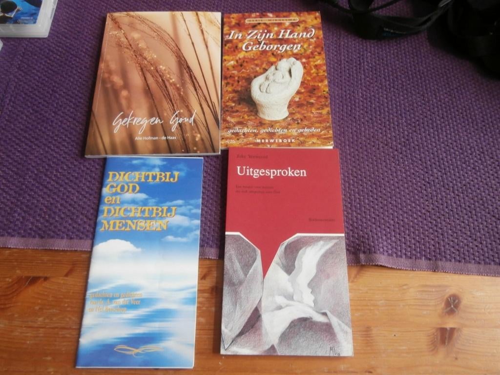 boek In Zijn hand geborgen Uitgesproken Gekregen Goud God, Boeken, Godsdienst en Theologie, Ophalen of Verzenden, Gelezen, Joke Verweerd