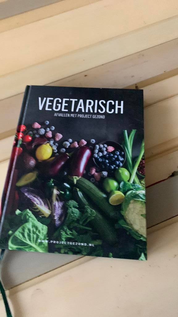 Project Gezond Natalia Rakhorst - Vegetarisch, Boeken, Kookboeken, Vegetarisch, Ophalen of Verzenden, Zo goed als nieuw, Natalia Rakhorst; Walter Rakhorst