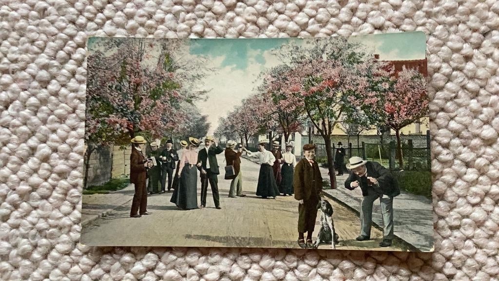 Ansichtkaart Amsterdam 1909. 963, Ophalen of Verzenden, Voor 1920, Gelopen, Noord-Holland