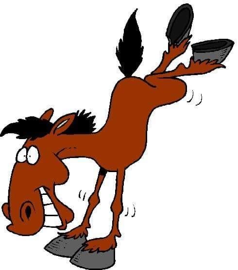 Menwagen / marathonwagen gezocht, Dieren en Toebehoren, Paarden en Pony's | Overige Paardenspullen, Ophalen of Verzenden