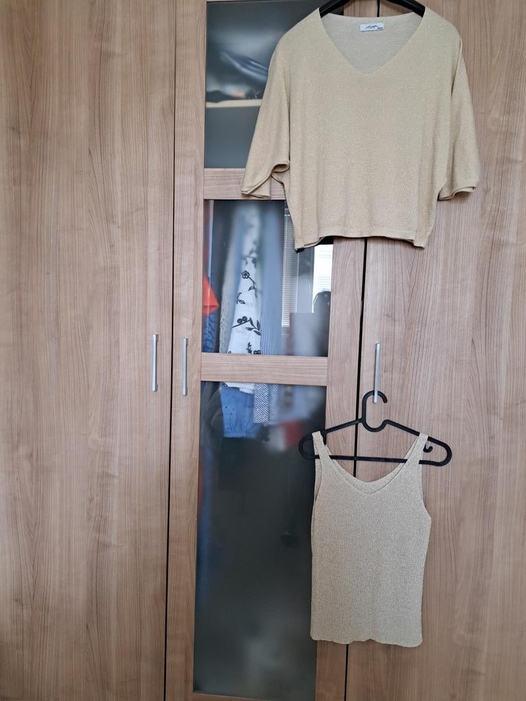Beige glittertruitje Ambika + top, Ophalen of Verzenden, Zo goed als nieuw, Beige