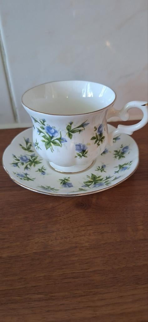 St. James England kop en schotel met blauwe bloemen, Ophalen of Verzenden