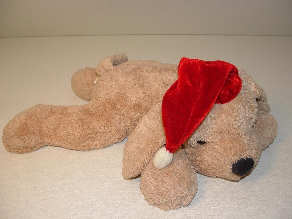 EVORA KRUIDVAT HOND ZACHTE BADSTOF BEIGE MET RODE, Ophalen of Verzenden, Nieuw, Overige typen