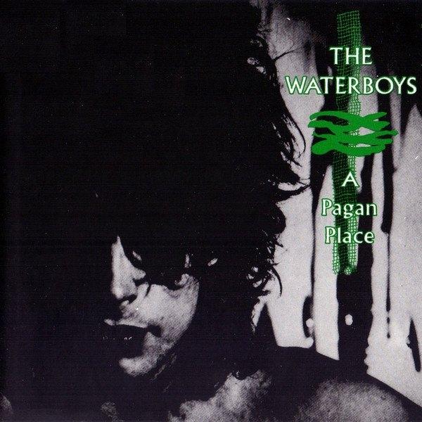 CD Waterboys - A pagan place, Ophalen, Gebruikt, Europees