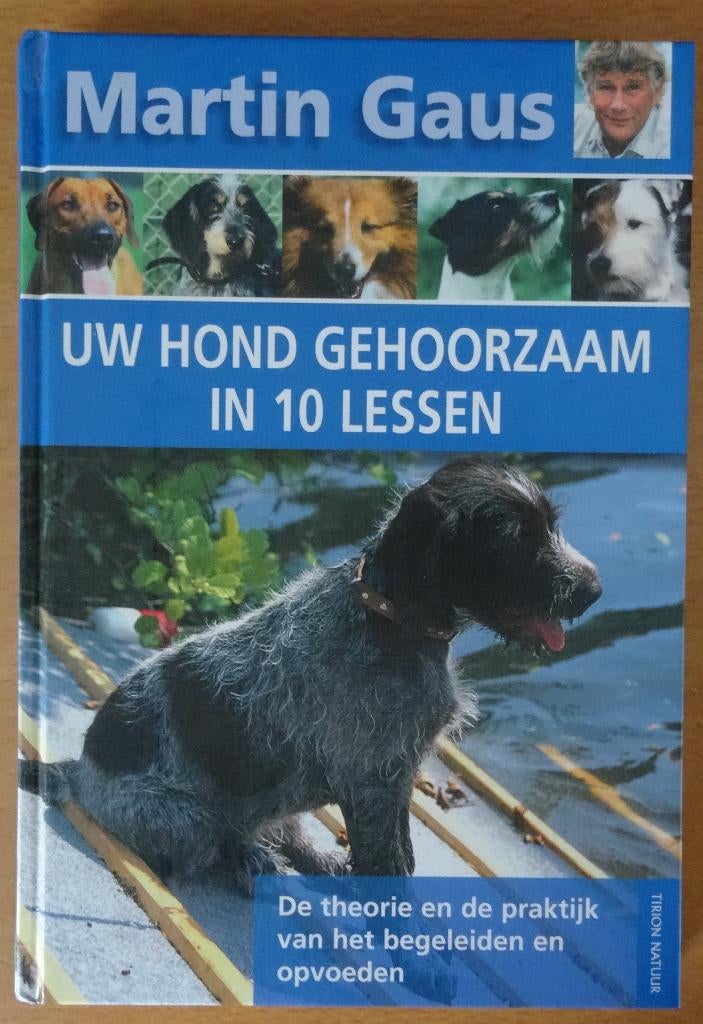 MARTIN GAUS - Uw hond gehoorzaam in 10 lessen, Ophalen of Verzenden, Gelezen, Honden, Martin Gaus