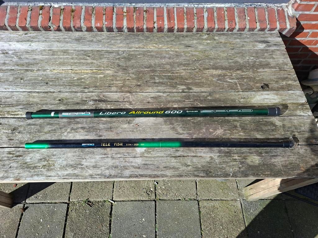 2 vishengels, Ophalen, Gebruikt, Vaste hengel