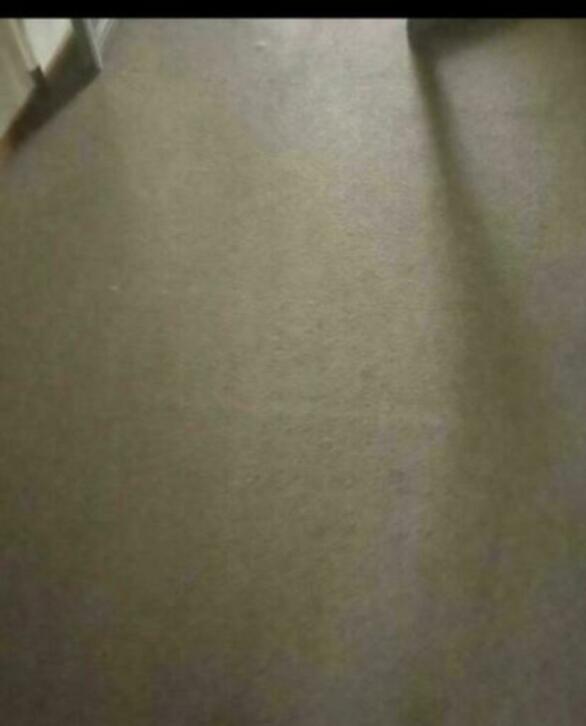 tapijten, 50 tot 100 cm, Overige kleuren, 50 tot 100 cm, Zo goed als nieuw