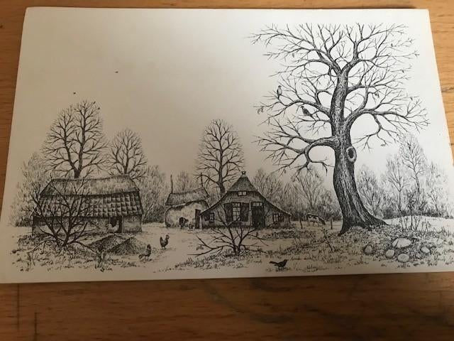 Renk Ruiter, Ophalen of Verzenden