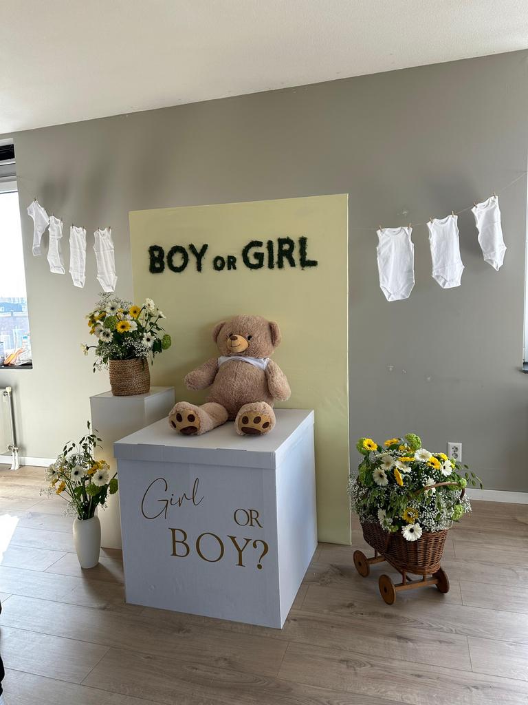 Gender reveal doos 70x70, Ophalen, 50 tot 100 cm, 50 tot 75 cm, Nieuw