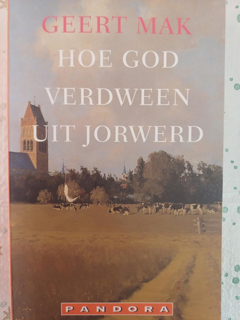 Geert Mak - Hoe God verdween uit Jorwerd, Ophalen of Verzenden, Zo goed als nieuw, Geert Mak