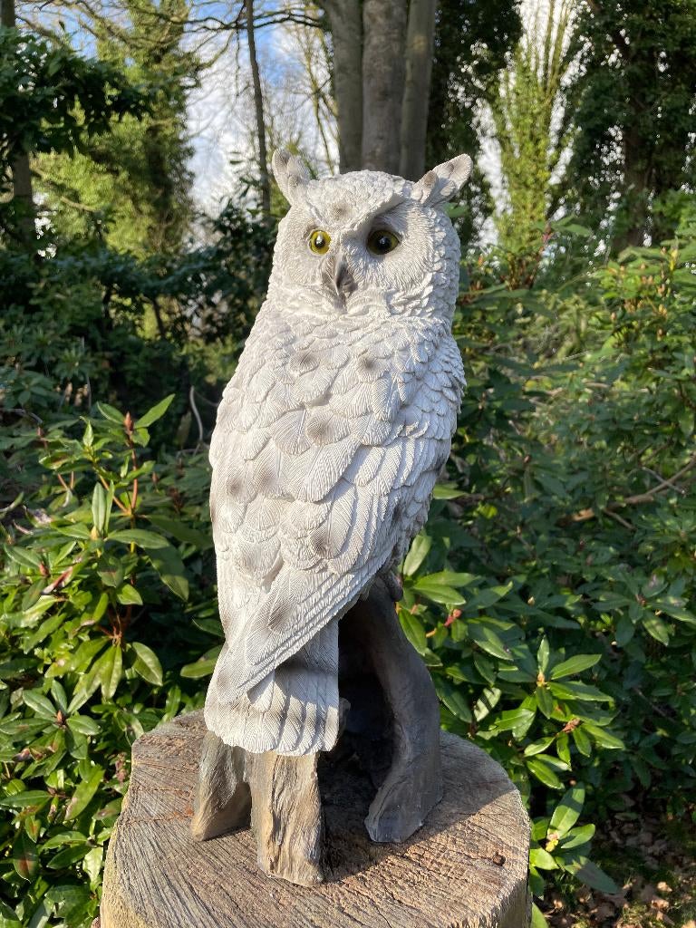 Beeld sneeuw uil, tuin, zwembad, vijver 55cm, Ophalen, Nieuw, Kunststof, Dierenbeeld