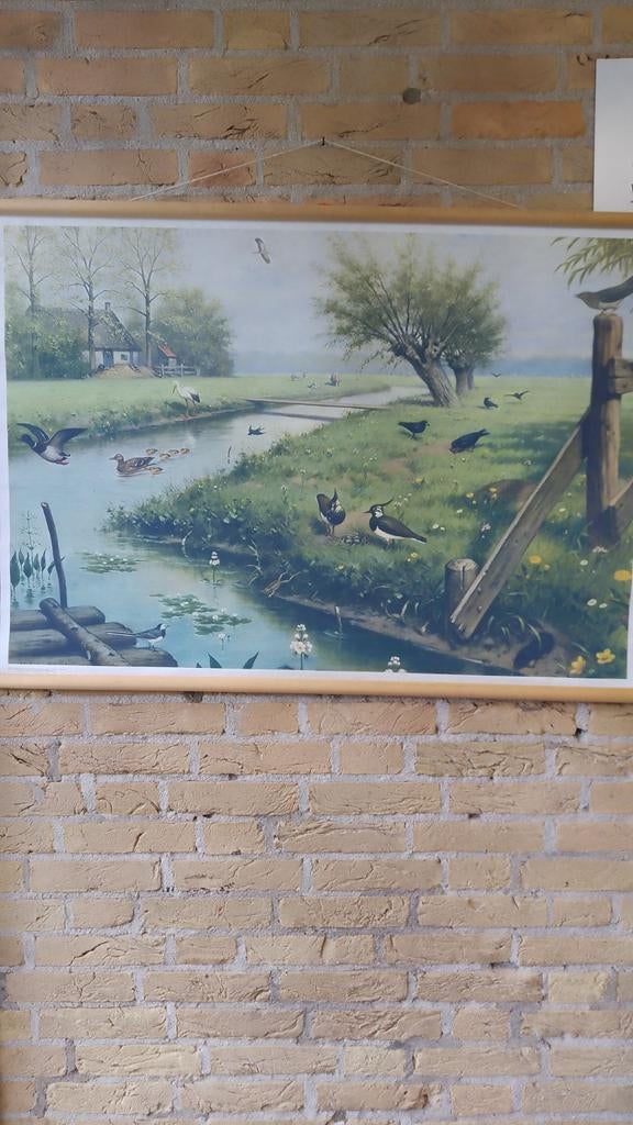 Mooi natuurportret met dieren, Antiek en Kunst, Kunst | Schilderijen | Klassiek, Ophalen