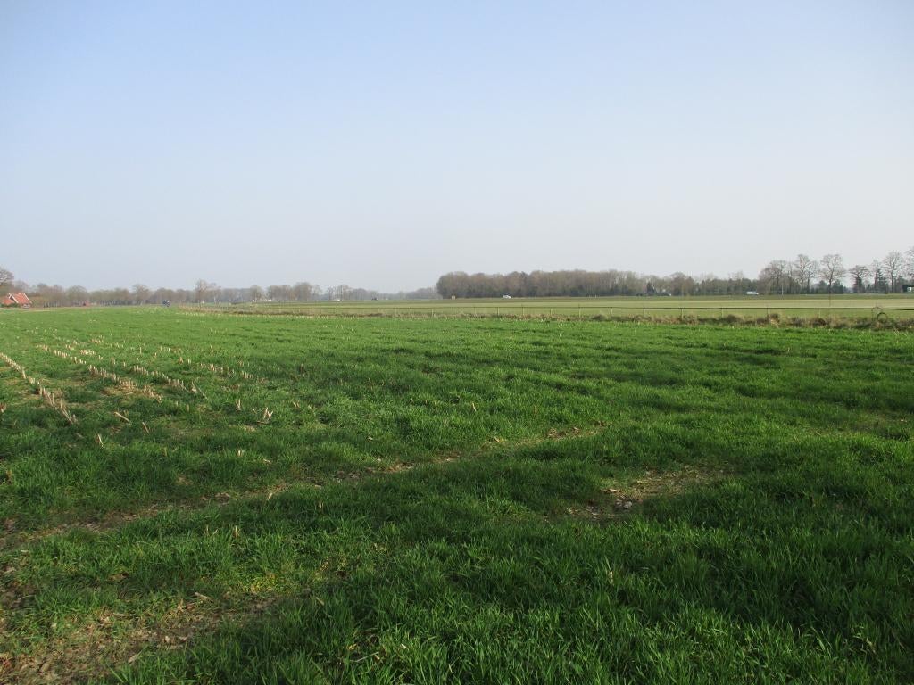 Landbouwgrond huur / gebruik circa 7.9 hect. regio Twente, Ophalen, 5 tot 20 ha, Akkerbouwbedrijf