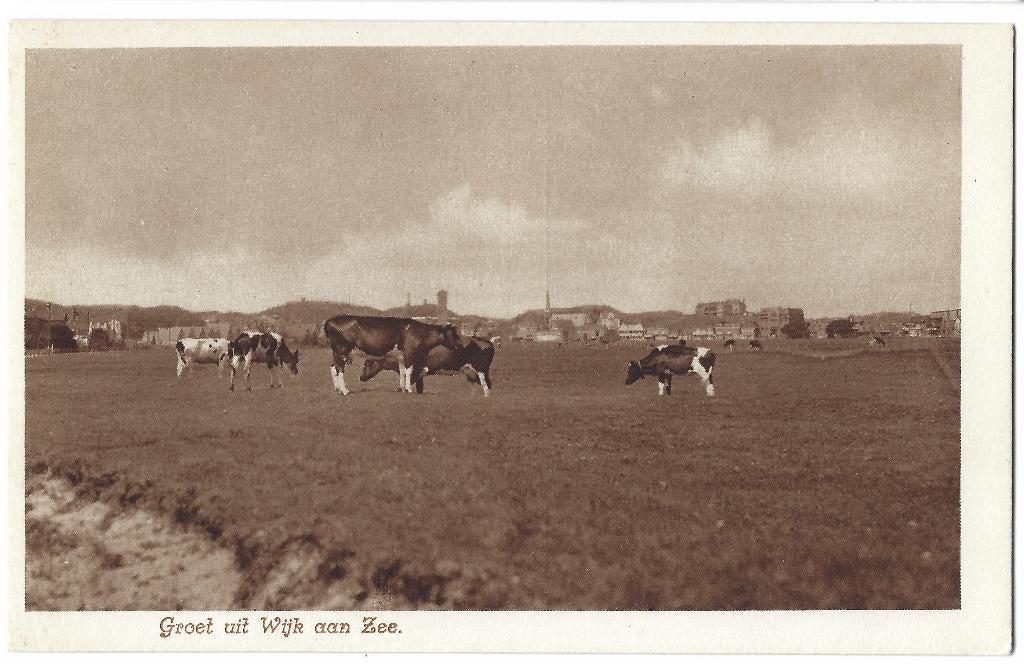 Wijk aan Zee, Groet uit Wijk aan Zee. Nauta A 2582. Opruimk., Verzenden, Voor 1920, Ongelopen, Noord-Holland