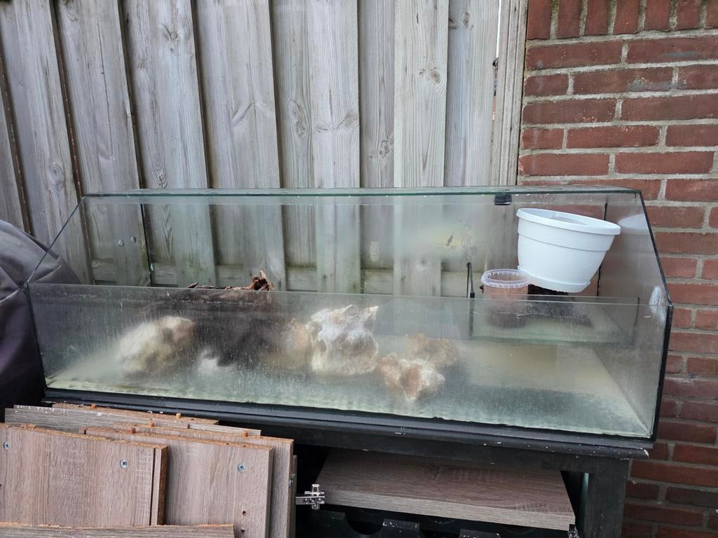 Gratis aquarium, Ophalen