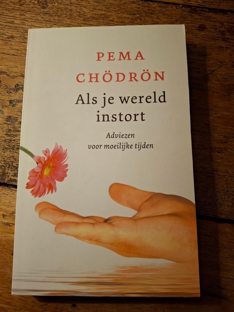 Pema Chodron - Als je wereld instort, Achtergrond en Informatie, Spiritualiteit algemeen, Ophalen of Verzenden, Zo goed als nieuw