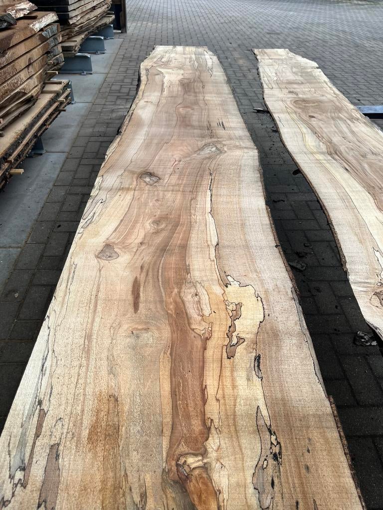 Beuken stamhout met slaap. Rondhout beuken. Schaaldelen, Ophalen, Zo goed als nieuw, 250 cm of meer, Palen