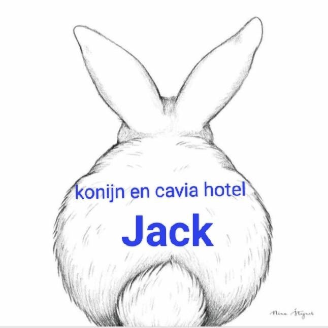 Konijn en Cavia hotel Jack.