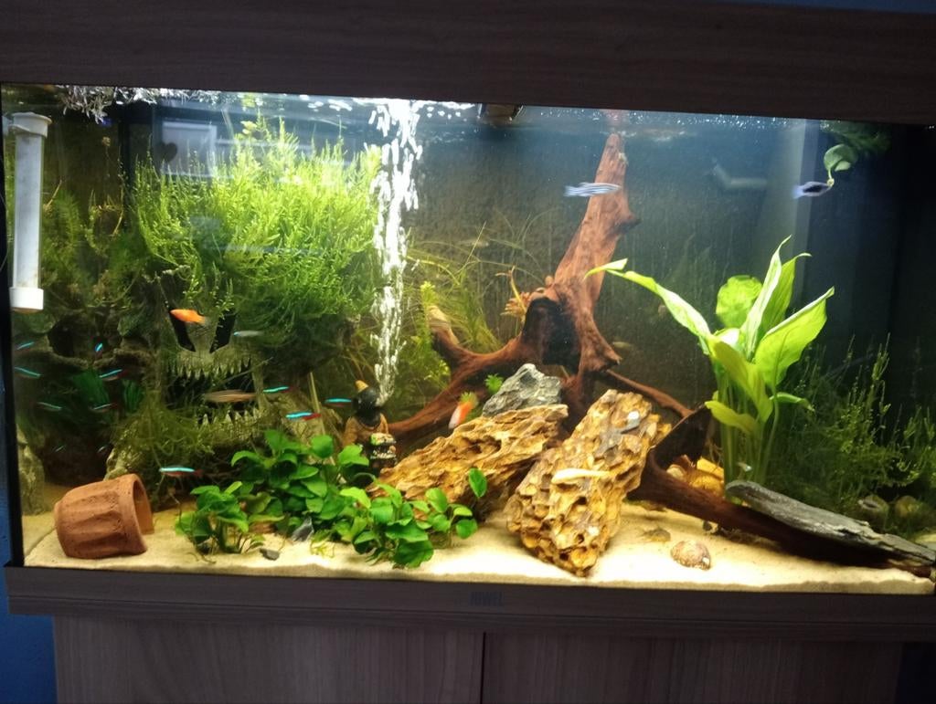Juwel aquarium 120 liter + kein aquarium om te vervoeren, Dieren en Toebehoren, Vissen | Aquaria en Toebehoren, Ophalen, Zo goed als nieuw