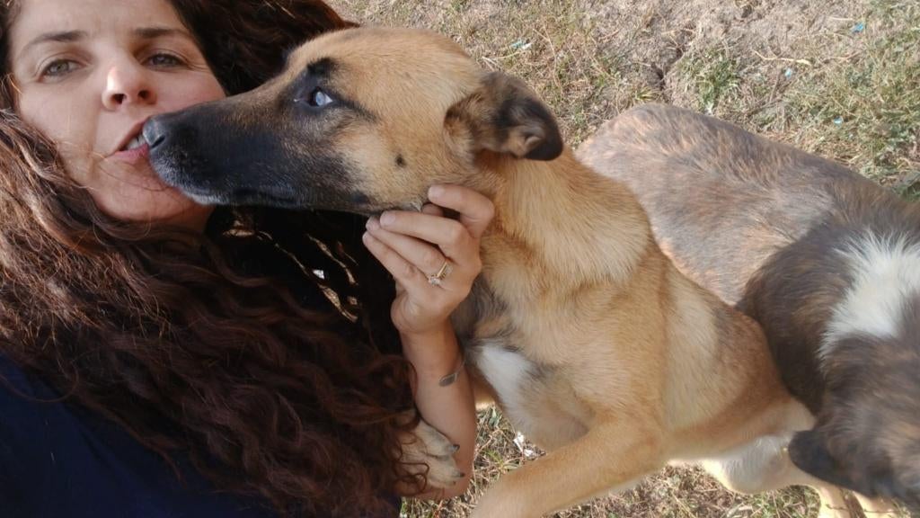 Raya – Een dappere dame op zoek naar een thuis, Particulier, 1 tot 2 jaar, Buitenland, Teef