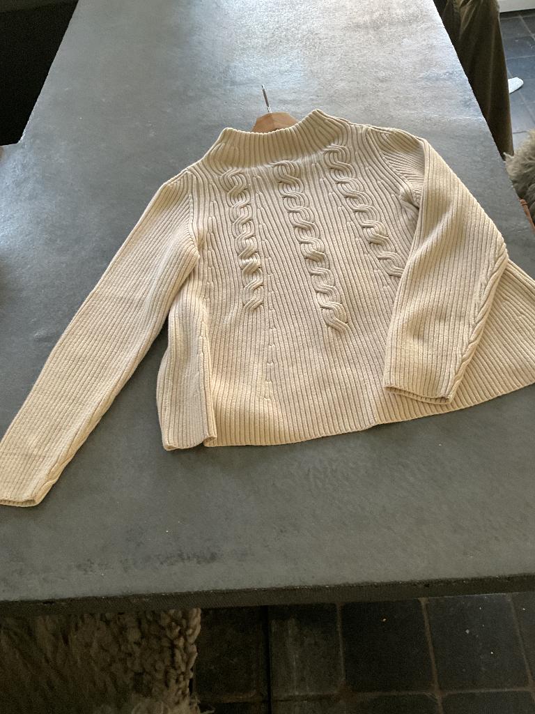 Top trui van duur merk RABE, prachtig los model,, Kleding | Dames, Truien en Vesten, Maat 38/40 (M), Rabe, Overige kleuren, Ophalen of Verzenden