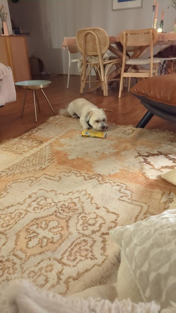 Antiek kleed, Ophalen, Gebruikt, Minder dan 10 m², Tapijt