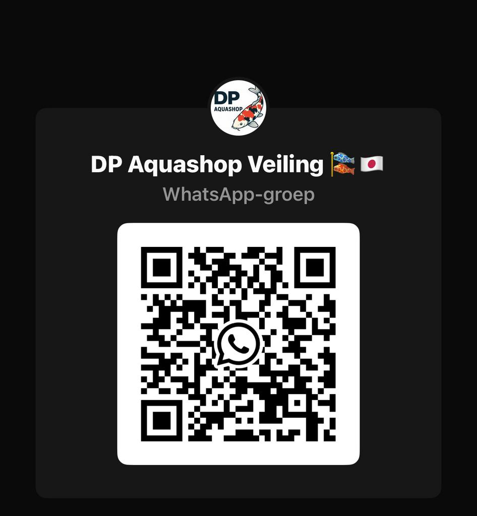 Koi veiling, Karper of Koi