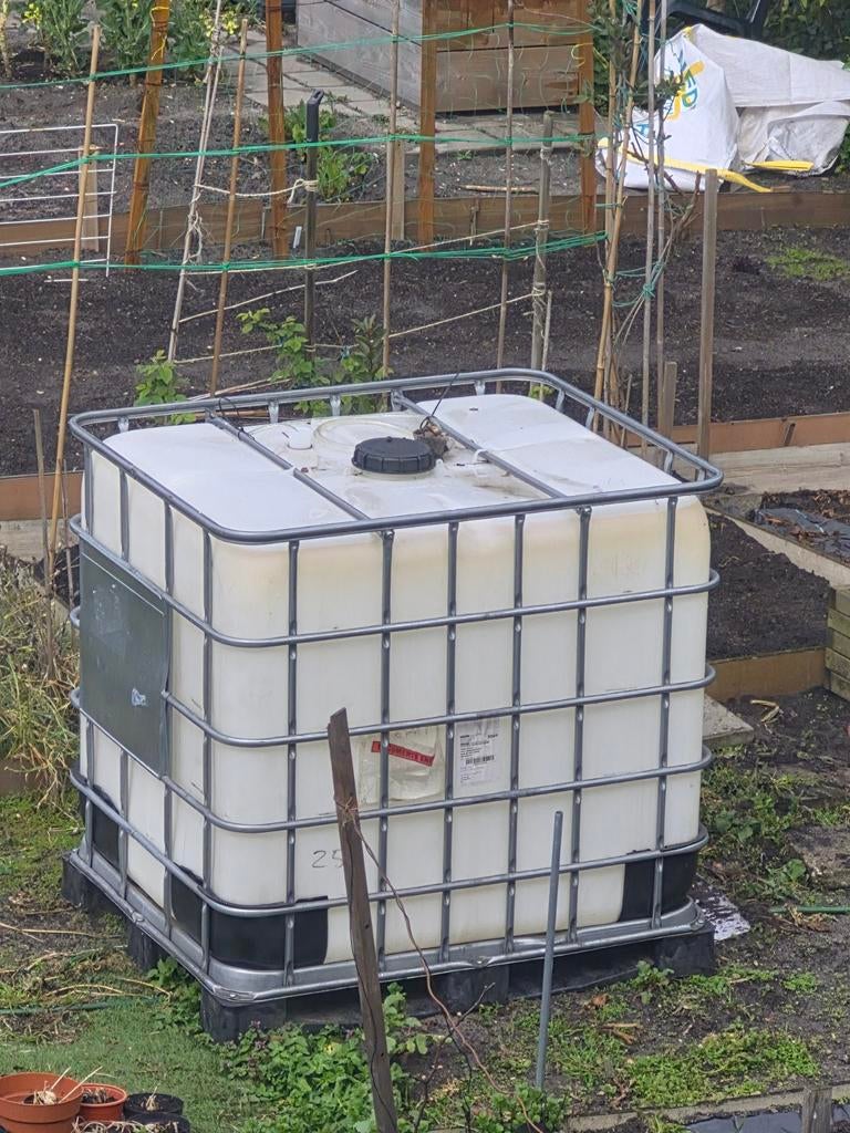 Regenton IBC container, Tuin en Terras, Regentonnen, Ophalen of Verzenden