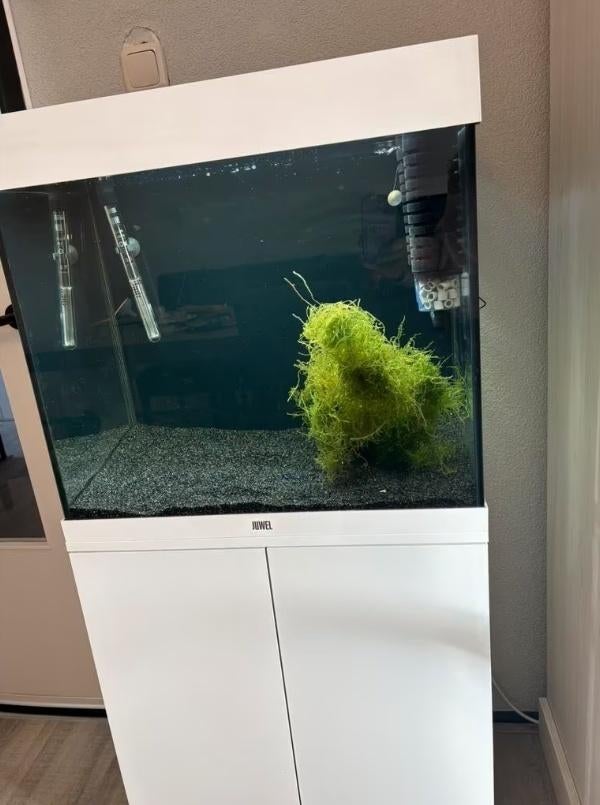 Juwel lido 120 met onderkast wit glansmooi strak, Ophalen, Gebruikt, Leeg aquarium