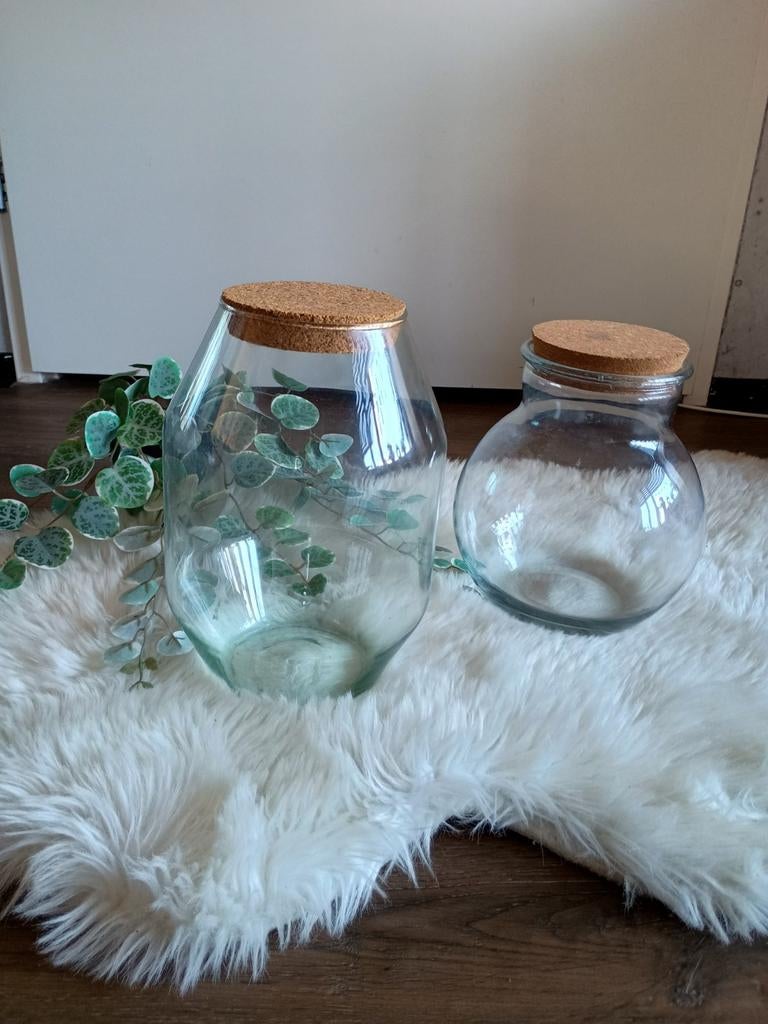 2 glazen vazen / Terrarium glazen / Potten, Ophalen of Verzenden, Zo goed als nieuw
